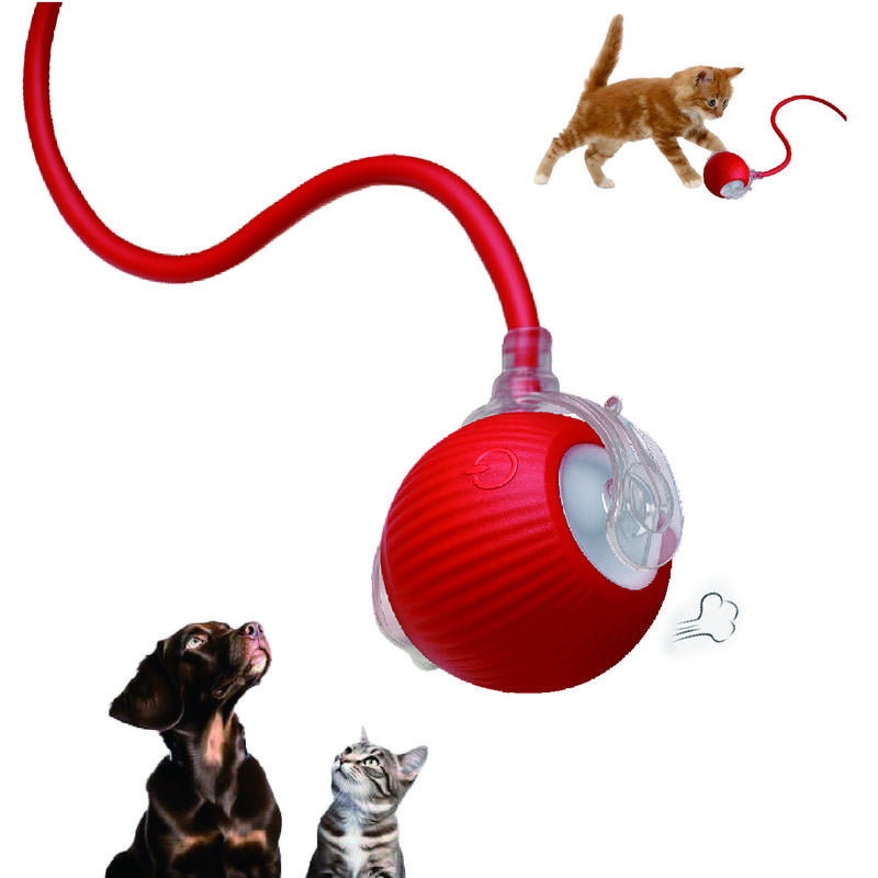 Harsozo Interactive Pet Toy Ball with LED Light Type-C Rechargeable Self-Moving for Cats & Puppies Labor Day Sale Lazycat Ball Rechargeable Interactive Cat Toy Balls